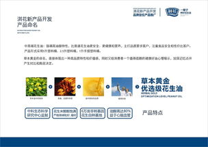 淇花食用油新產(chǎn)品開發(fā)及技術(shù)推廣策略提案