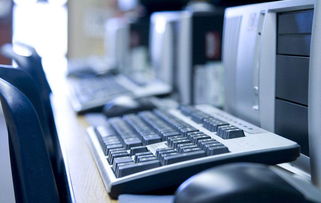 2019年美國(guó)留學(xué)職業(yè)展望 盤點(diǎn)七大發(fā)展前景廣闊的職業(yè)領(lǐng)域，聚焦信息技術(shù)開(kāi)發(fā)