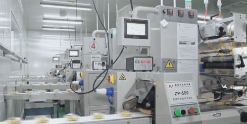 數字賦能 黨企共融——友臣食品黨支部以信息技術開發爭創“五優”新篇章